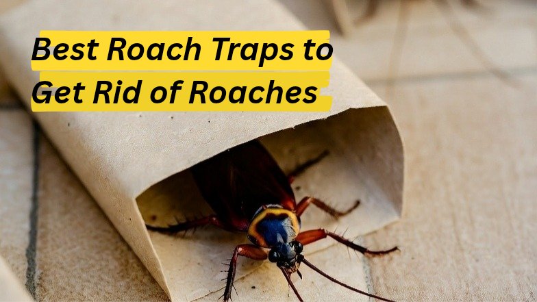 roach traps