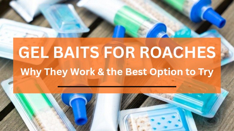 gel baits for roaches