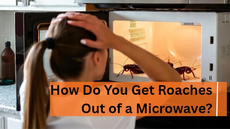 how do you get roaches out of a microwave